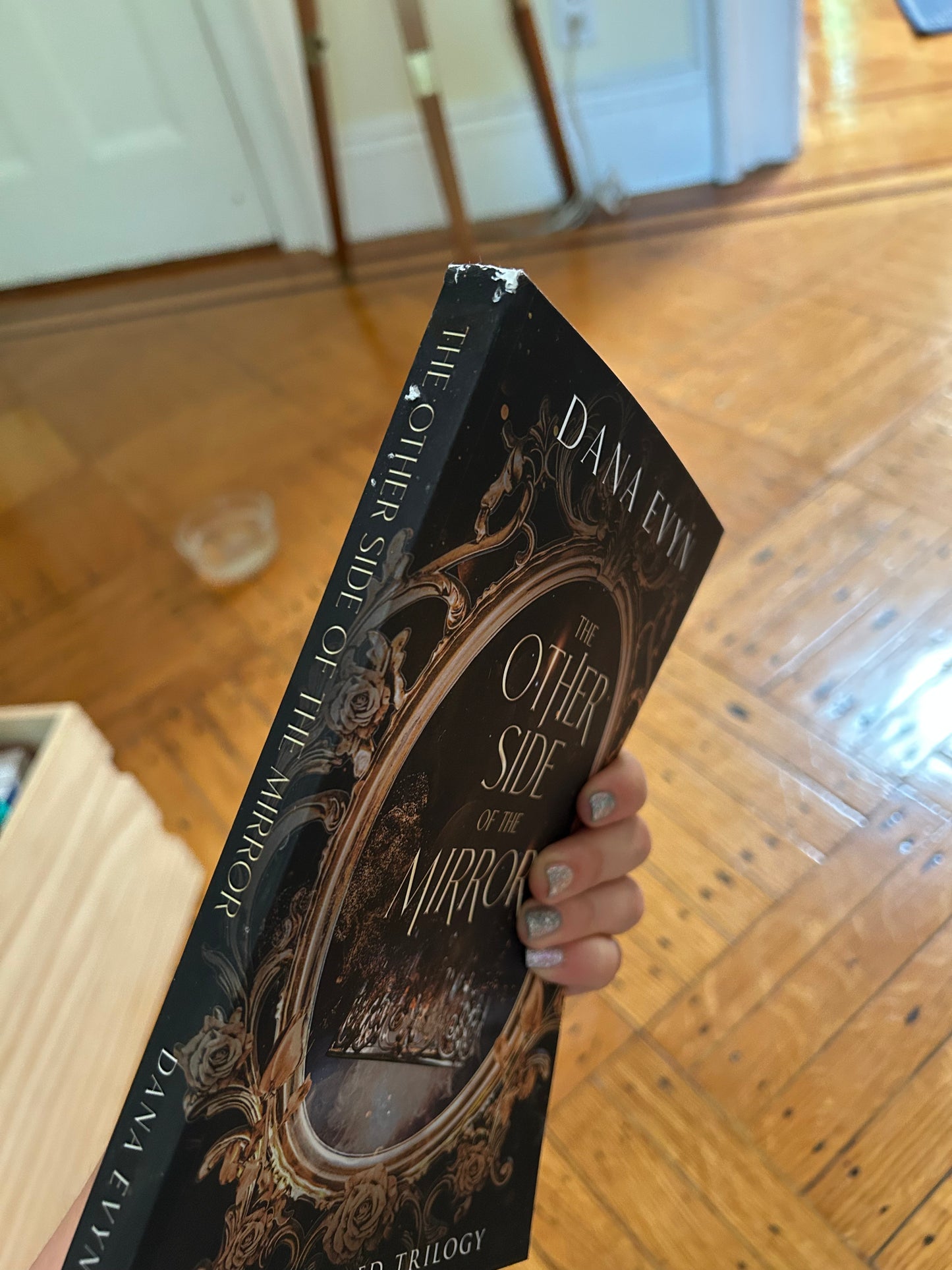 The Other Side of the Mirror (The Mirrored Trilogy #1) by Dana Evyn