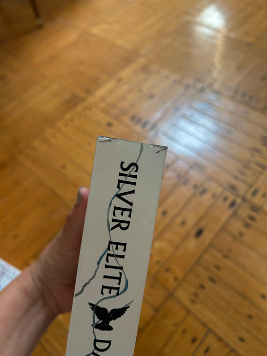 Silver Elite (Sprayed Edges) by Dani Francis