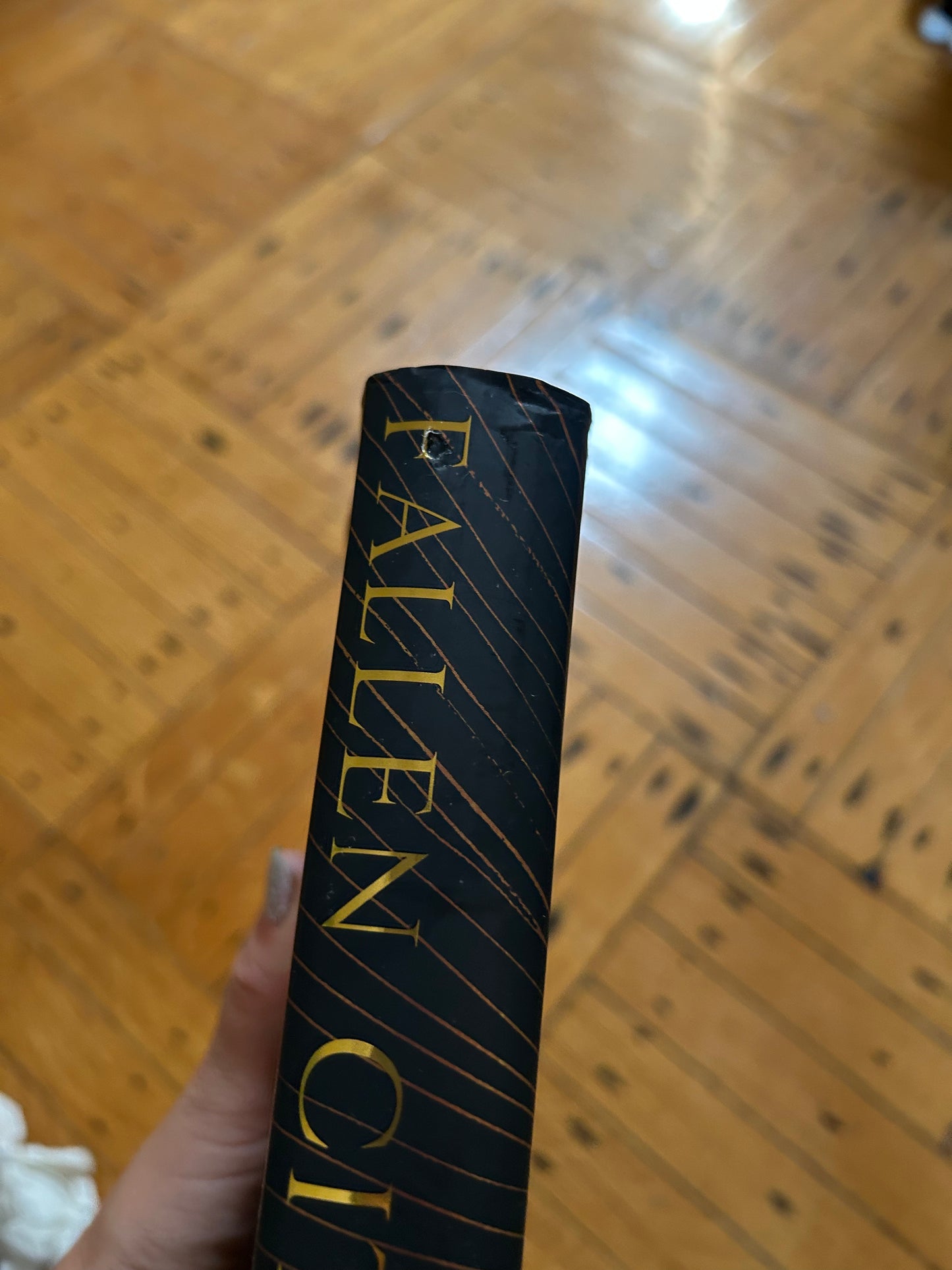 Fallen City (Fallen City # 1) Limited Deluxe Edition by Adrienne Young